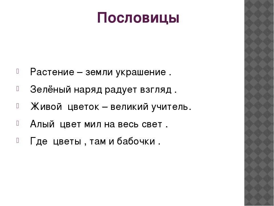 Пословицы поговорки загадки про