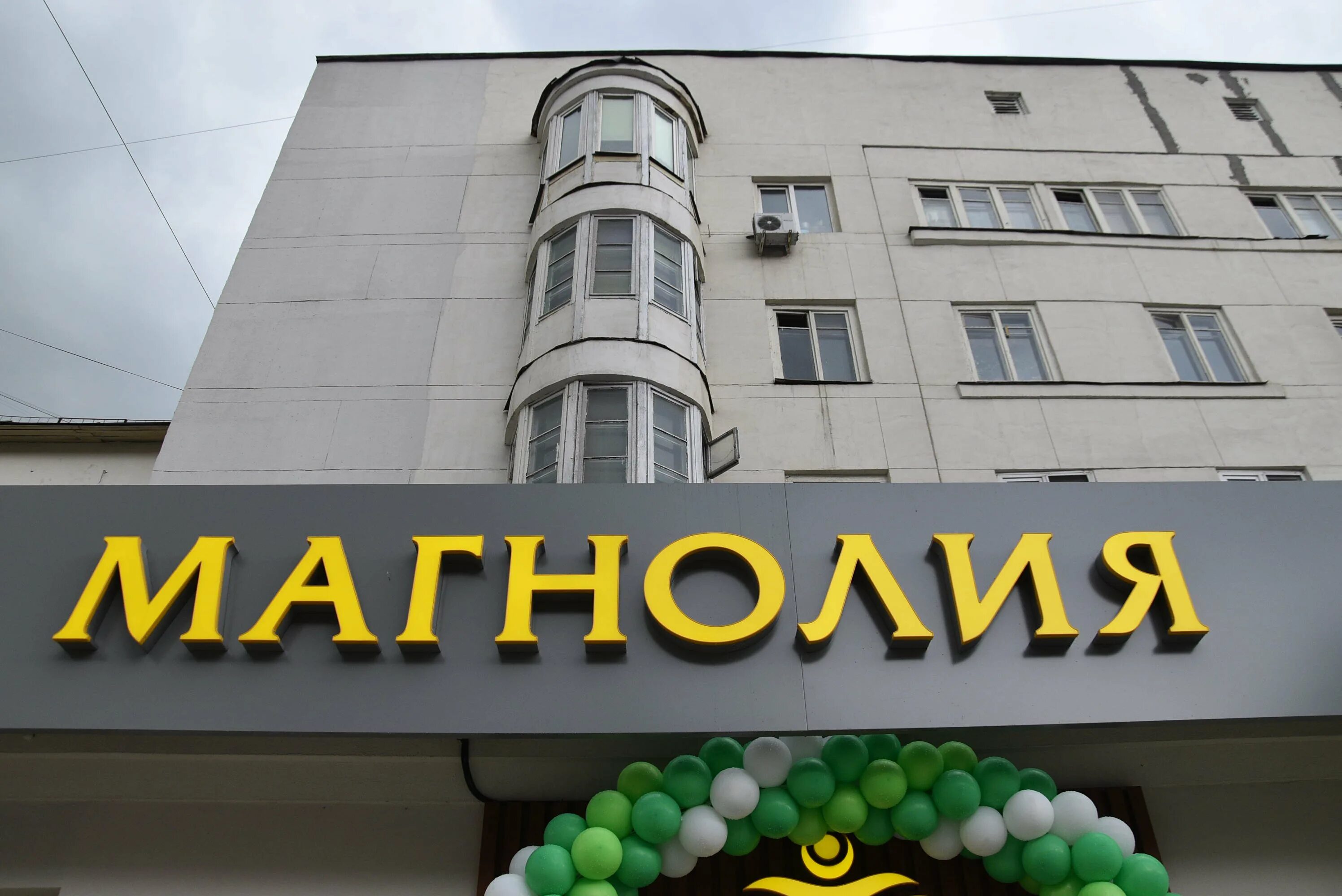 магнолия кутузовский. магазин магнолия кутузовский проспект 41. магнолия кафе буйнакск. магнолия магазин москва кутузовский 29. магнолия на кутузовском проспекте 5/3.