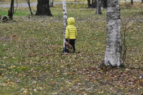 Сценарий как дети осень обидели