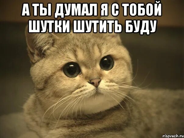 Ненавижу думать