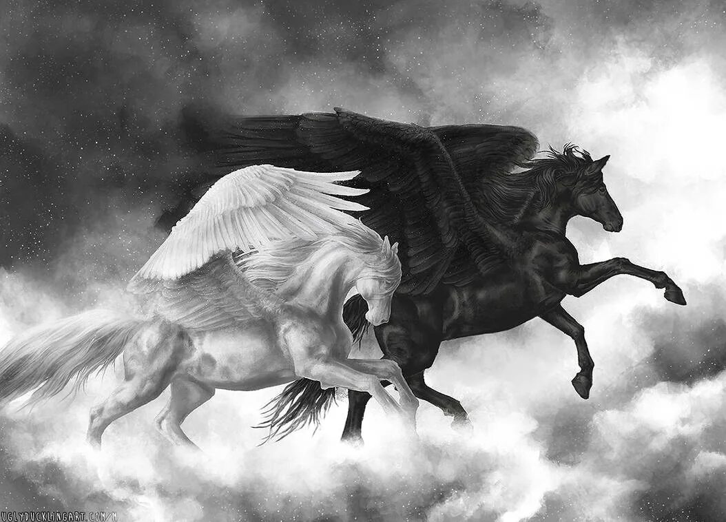 Черные Единороги и пегасы. Черная лошадь с крыльями. Лошади фэнтези. Черный конь с крыльями. Двое лошадей встревоженно подняли головы от травы
