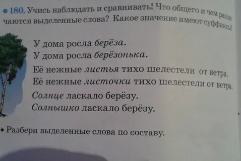 Березами по составу