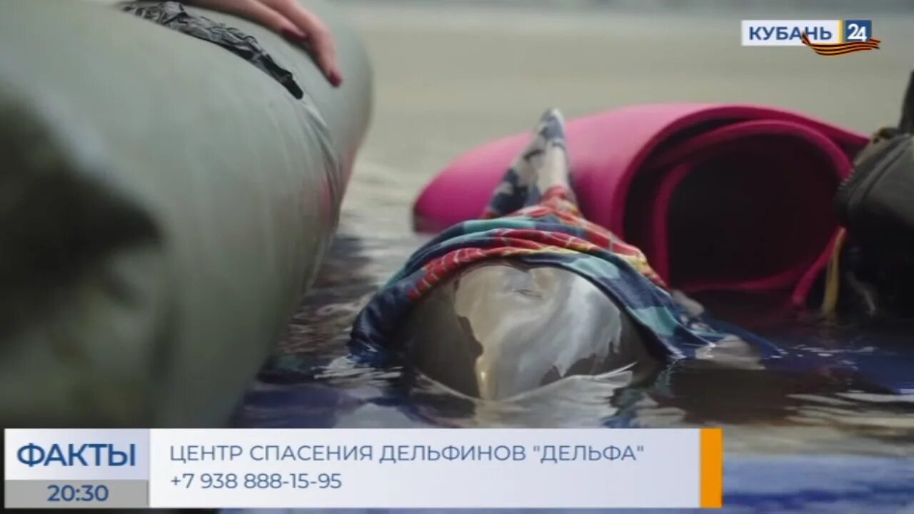 Спасение двух