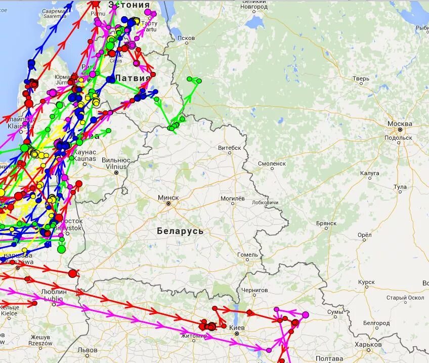 Карта пролета. Пути миграции гусей на карте России. Карта миграции гусей в России. Карта миграции гусей в России весной. Маршруты миграции гусей весной.
