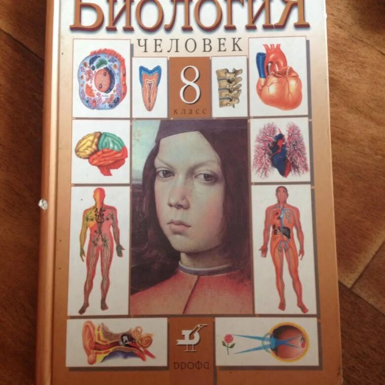 Программа по биологии 8 класс человек. Биология человека 8 класс Колесов маш Беляев. Колесов, маш, Беляева биология 8 кл.. Биология человек Колесов д.в маш р.д Беляев и.н. Колесов маш Беляев биология 8 класс учебник.