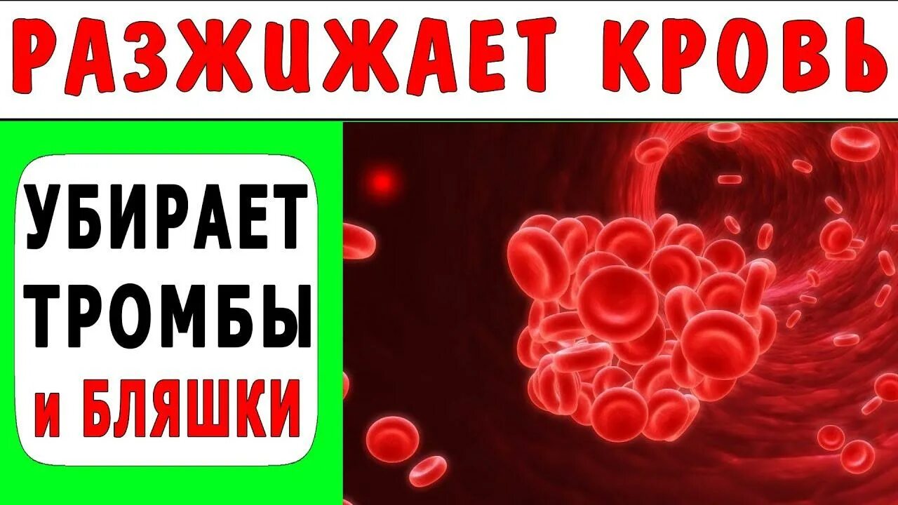 Что разжижает кровь. Для разжижения крови. Тромбы разжижение крови. Густая кровь разжижение,,,,,.