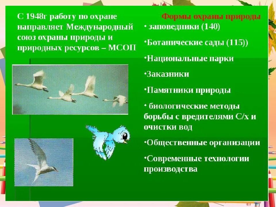 Охрана природы направлена. Охрана природы. Формы охраны природы. Методы по охране природы. Охрана природы информация.