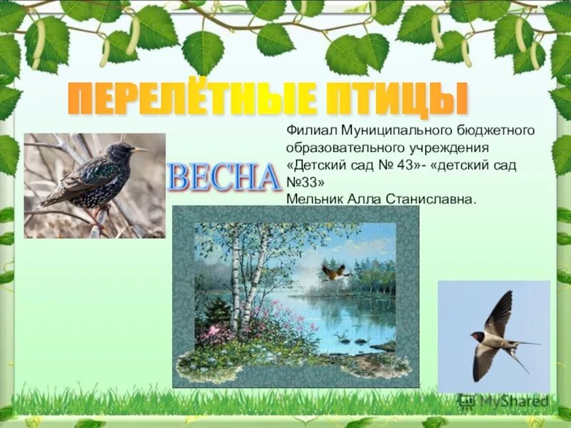 Весенние перелетные птицы для детей. Перелётные птицы весной для дошкольников. Презентация птицы весной для дошкольников. Птицы весной презентация