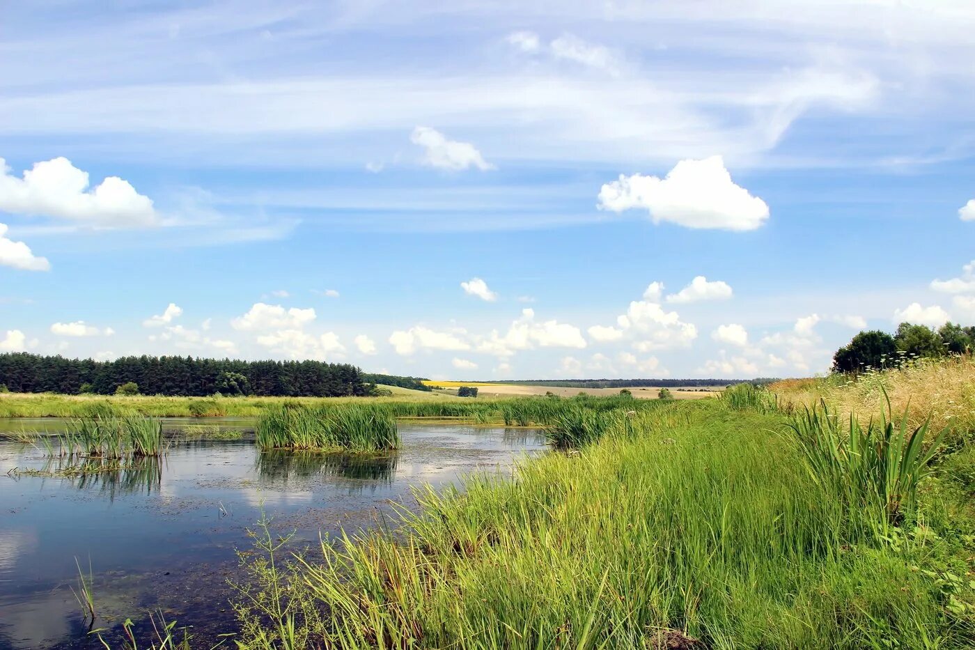 Природа центрально черноземного. Река Холок Белгородская область. Белгород просторы. Просторы Белгородчины. Родные просторы Белгородчины.