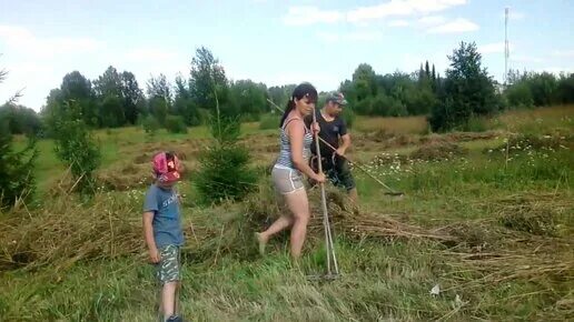 Деревенские каналы видео