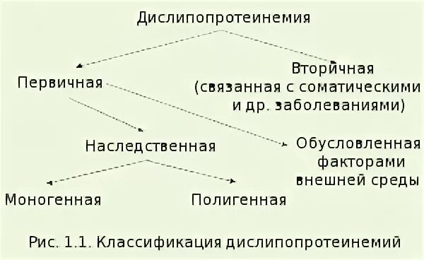 Дислипопротеинемии биохимия