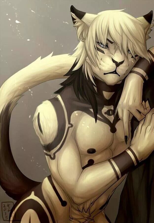 фурри коты. Falvie fursona. кошко фури. фурри парни коты. омега фурри мальчик омега.