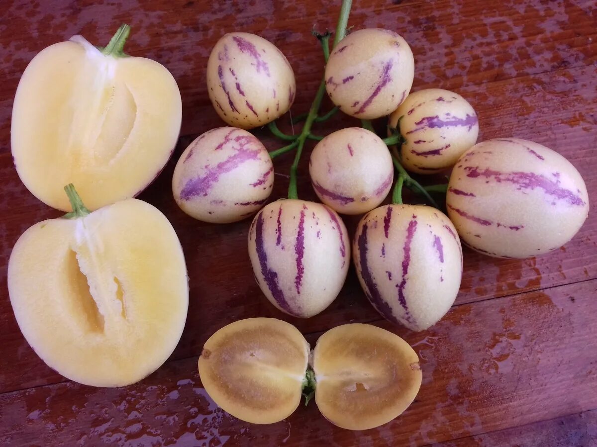 Résultat de recherche d'images pour "fruit peperinos" Piante