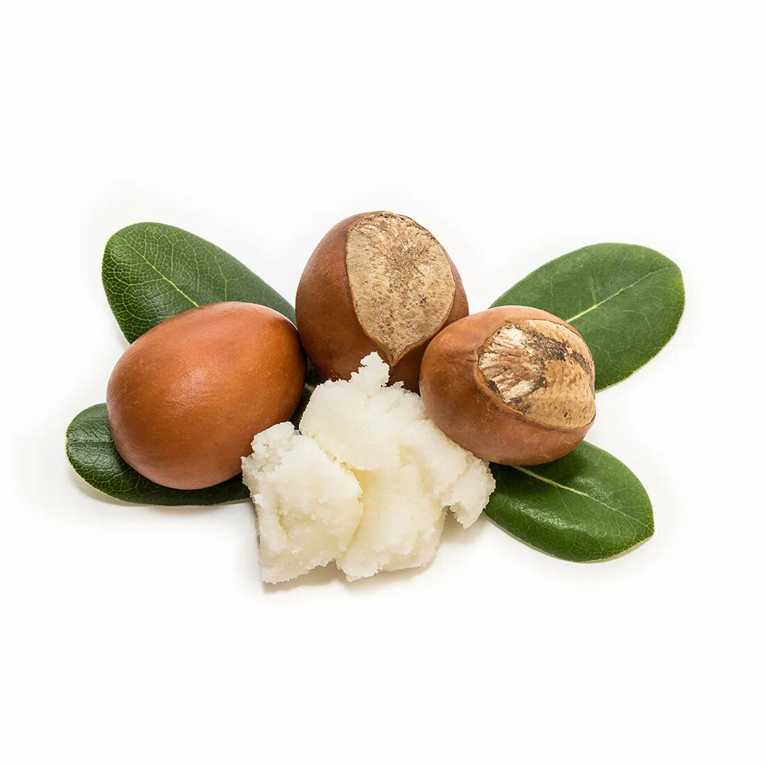 Масло ши (карите). Масло ши. Ши карите. Shea butter масло ши. Shea butter масло ши.