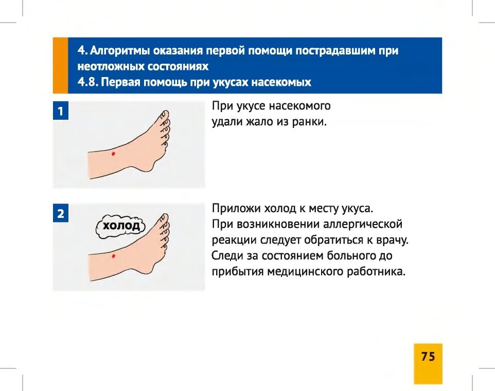 Как оказывать вторую помощь. Оказание первой помощи при неотложных состояниях. принципы оказания первой помощи при неотложных состояниях.. первая помощь при неотложных состояниях алгоритм. алгоритм оказания первой помощи.