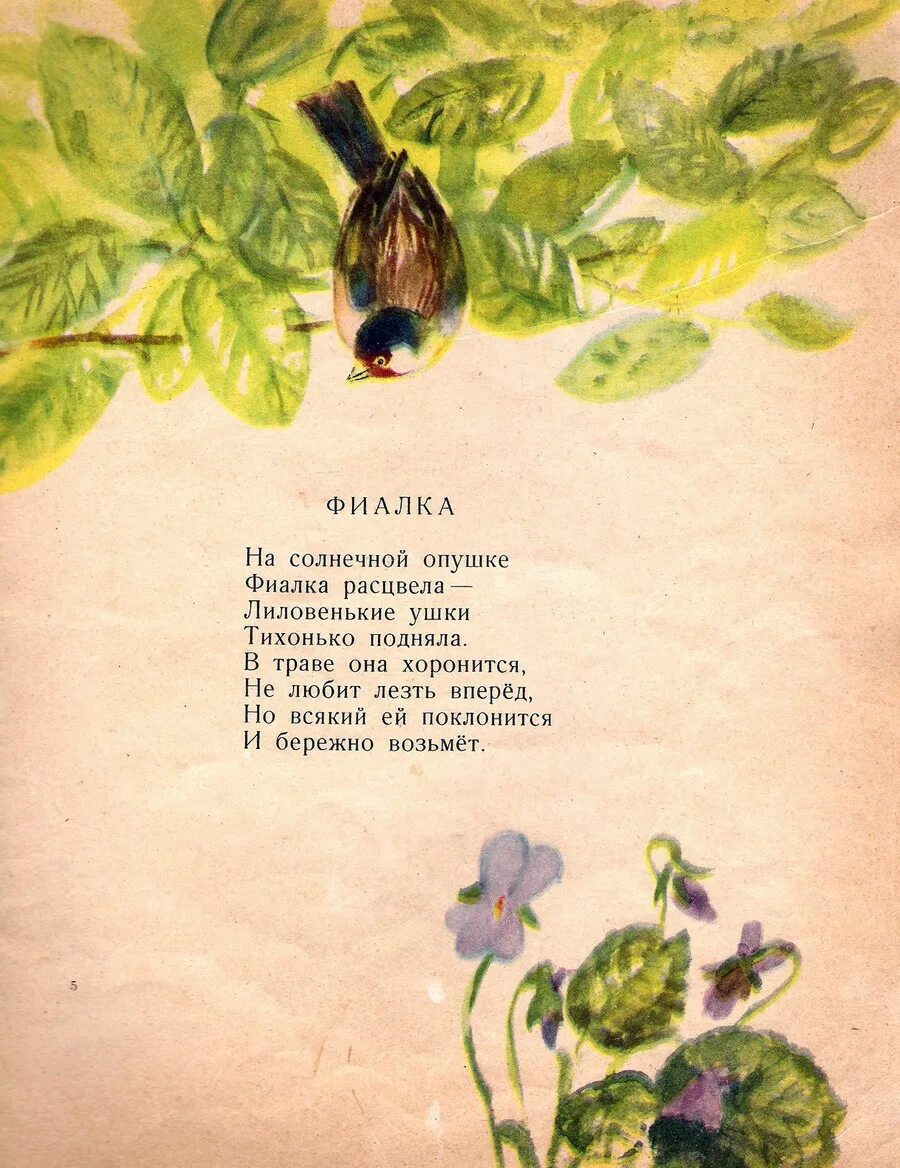 Ноты песни фиалка. Фиалка душистая красная книга. Песня фиалка текст песни. Фиалка монмартра карамболина ноты. Казка плакала текст.