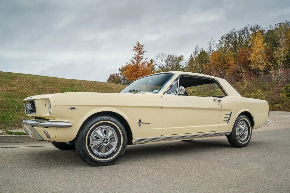 Ford mustang 1966. Shelby mustang 1966. Форд мустанг 66 года. Ford mustang 1966. Форд мустанг 1966 характеристики.