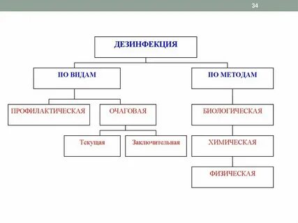 Дезинфекция и ее виды