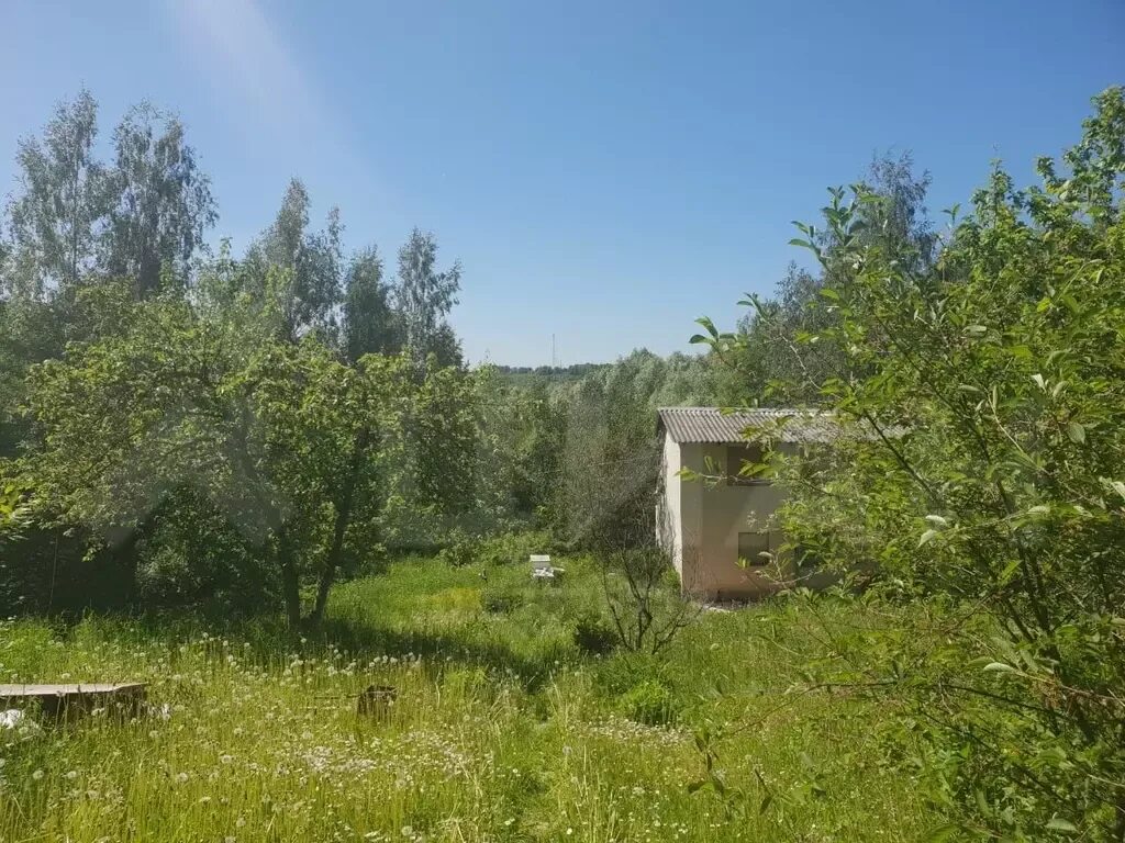 Старолетово. Погода старолетово. Старолетово рязанская область. Старолетово рязанская область. Улица крачевка старолетово рыбное дом сорок четыре рта.