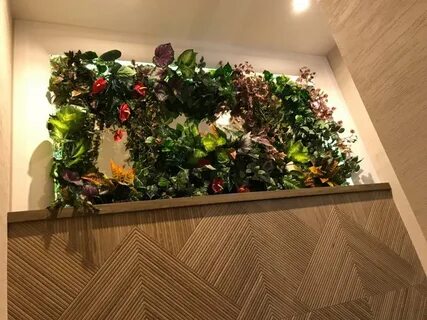 Молли Кавалли жалаңаш