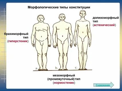 Частная конституция человека