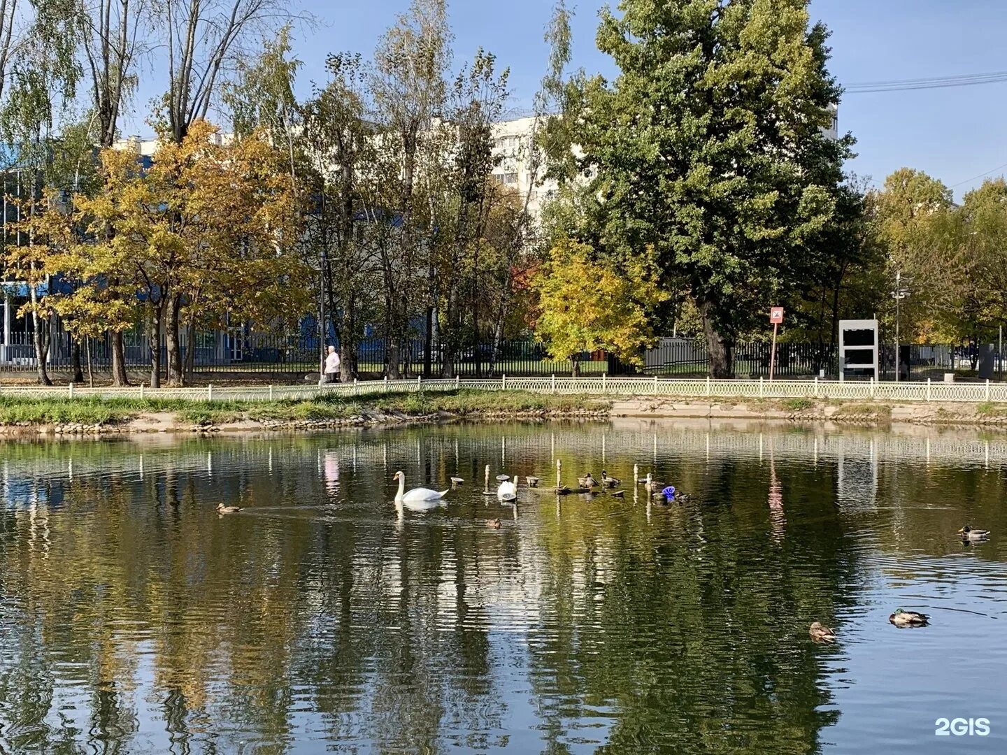 Лианозовский парк Москва. Лианозовский парк 1959. Лианозовский парк пляж. Лианозовский парк 1937.