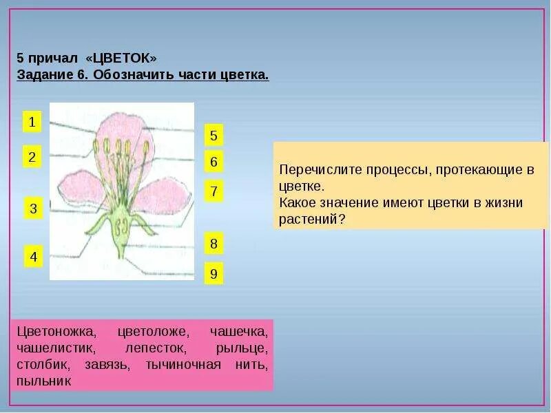 Какой из перечисленных цветов не является основным