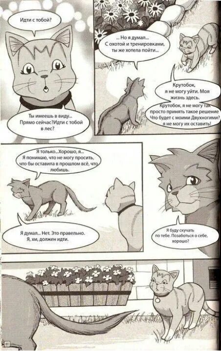 Комиксы коты воители манга крутобок. Прибежище воителя читать. Коты воители обет крутобока. Обет крутобок коты воители. Коты воители манга возвращение воителя.