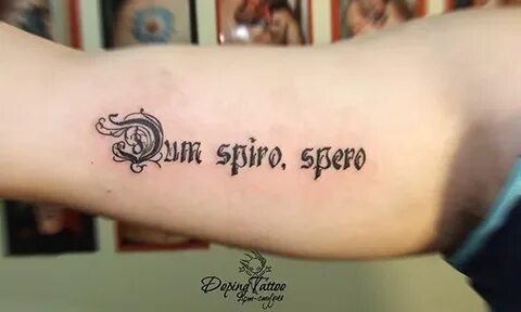 Дум спиро спера