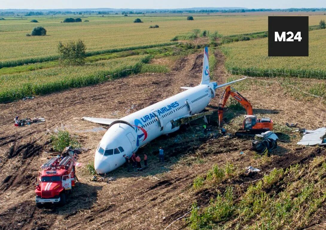 Какой самолет посадили в поле. Уральские авиалинии кукурузное поле. а321 уральские авиалинии кукурузное поле. аэробус 321 кукурузное поле. посадка на кукурузное поле а 321.