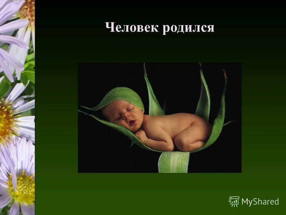 Человек родился содержание