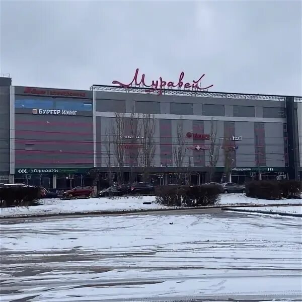 Муравей ленина 33 нижний новгород