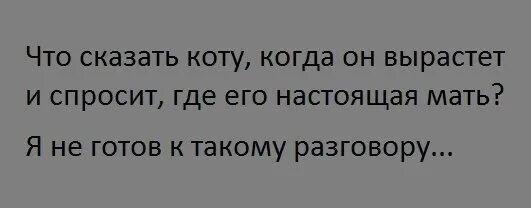 Что из него будет кем вырастет спрашиваем