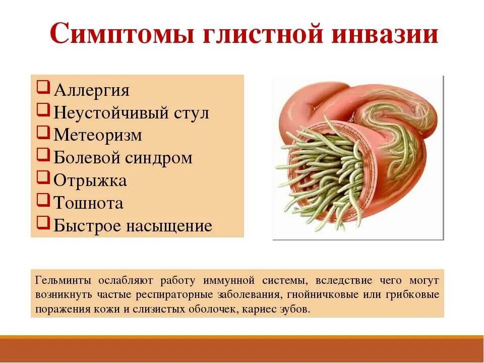 Симптомы паразитов у взрослого человека. Глистная инвазия симптомы. Признаки глистной инвазвазии. Симптоматика глистной инвазии.