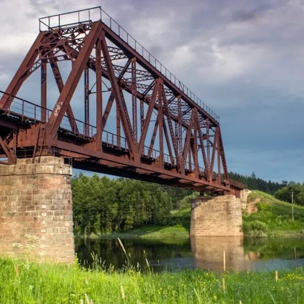 Плотина нелидово тверская область. Висячий мост нелидово. Ринг ларднер книги. Ржаное поле. Через межу.