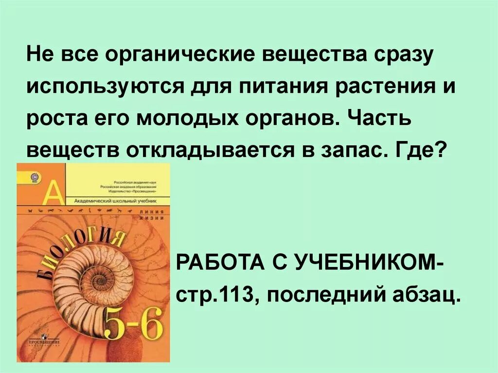 Какое значение отложение органических веществ в запас. Какое значение имеет отложение органических веществ в запас. Отложение органический веществ в запасе 6 класс биология. Запас органических веществ у растений. Запасы органических веществ у растений 6 класс.