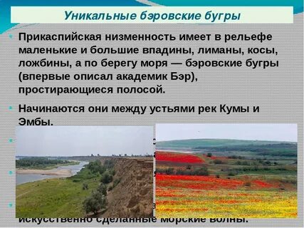 Прикаспийская низменность платформа