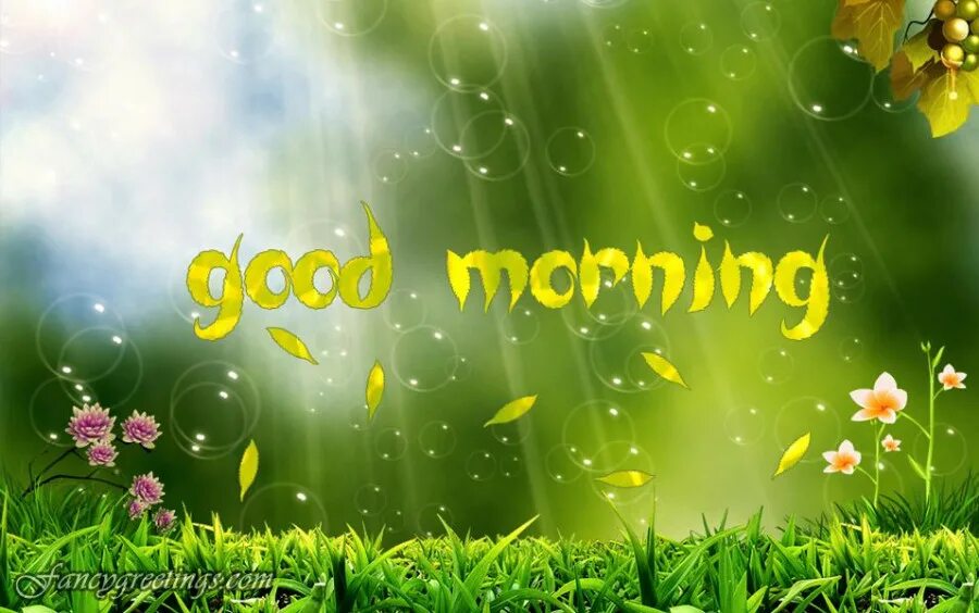добрый день на английском открытки. гуд монинг открытки. открытки хорошего дня английский. открытки хорошего дня английский. открытки хорошего дня английский.