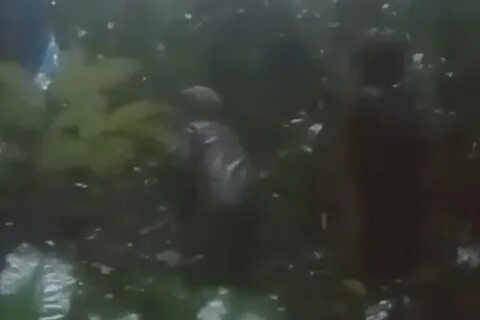Живой спустя