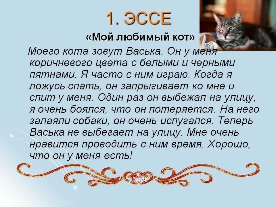 Сочинение мой кот 5 класс. Сочинение про кота. Сочинение про своего кота. Рассказ про домашних котов. Сочинение на тему мой кот.