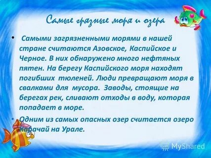 Какие моря озера реки особенно загрязнены
