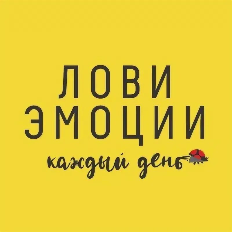 Ловлю эмоции. Лови эмоции, Ставрополь. Лови эмоции логотип. Лови эмоции Ставрополь Тухачевского.