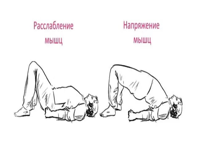 Упражнения для потенции. Упражнения для потенции у мужчин. Упражнения для улучшения эректильной функции. Упражнения для усиления эректильной функции. Какими упражнениями потенции