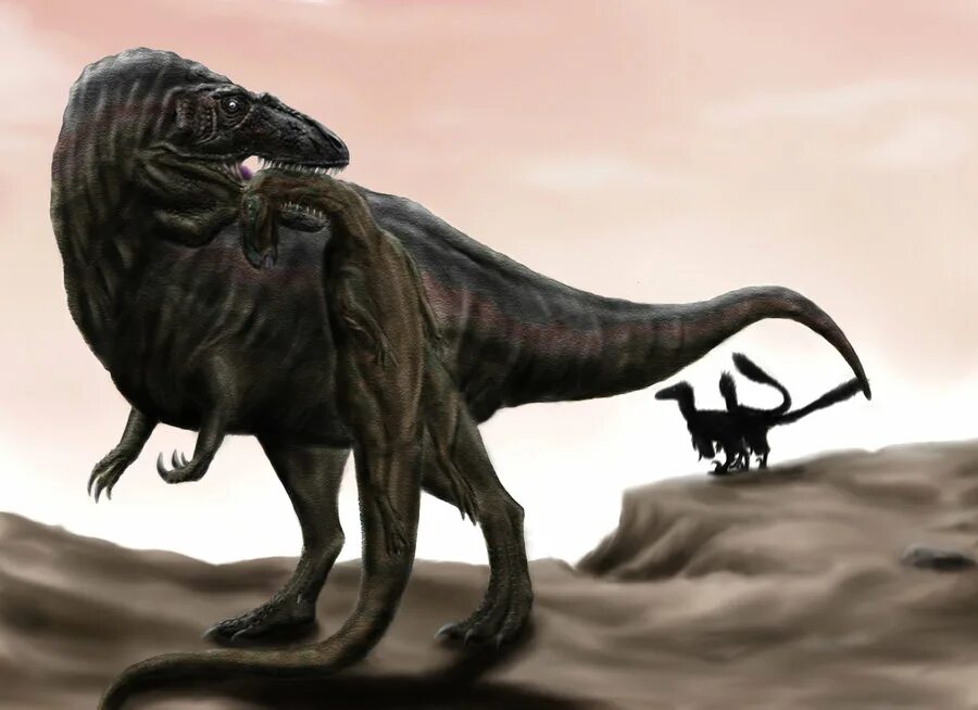 Любой динозавр. Acrocanthosaurus Atokensis. Акрокантозавр Тенонтозавр Дейноних. Доисторические животные. Тенонтозавр динозавр.