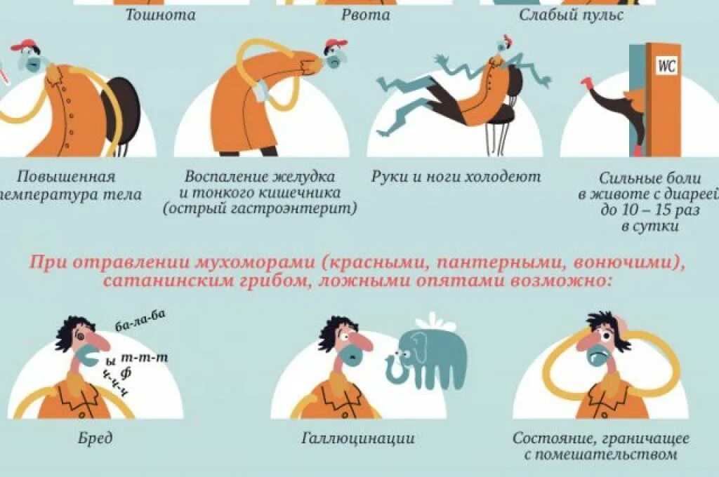Что поесть после отравления и рвоты. Отравление грибами симптомы. первые симптомы отравления грибами. пищевое отравление грибами симптомы. первая помощь при отравлении грибами.