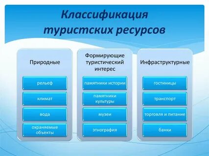 Перечислите крупные формы