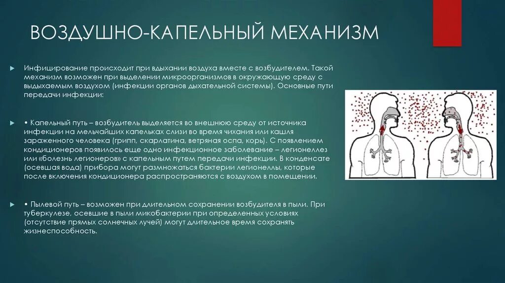 Заболевания через воздух. Болезни с воздушно капельным механизмом передачи инфекции. Воздушно капельные инфекции механизм заражения. Пути передачи инфекции воздушно капельный путь. Механизмы передачи воздушно капельного пути.