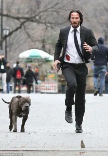 Джон уик собака порода