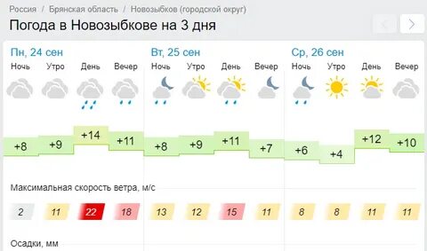 Прогноз погоды брянск по часам сегодня