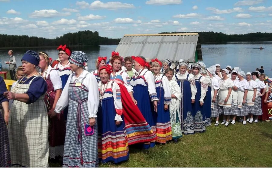 Вологодская область население. Вепсы Бабаевский район. Вепсы в Вологодской области Бабаевский. Фестиваль Древо жизни вепсы. Вепсы народ Вологодская область.